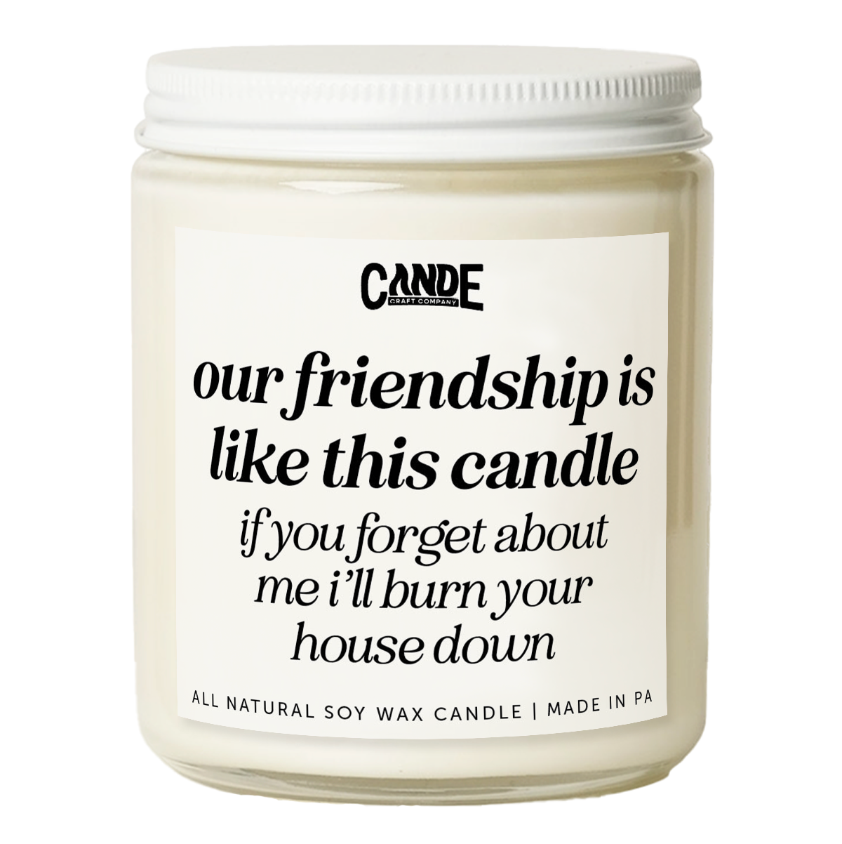 Our Friendship is Like A Candle If You Forget About Me I'll Burn Your House Down Candle
