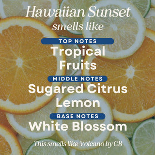 Scented Mop Soap - Floor Cleaner for Home - Hotel Luxury Scents