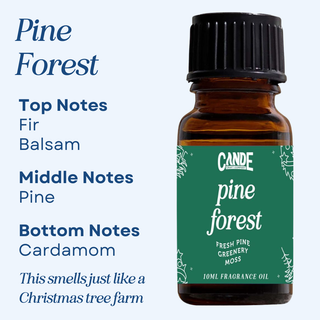 Scented Premium Fragrance Oil