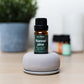 Cactus Bloom Premium Fragrance Oil