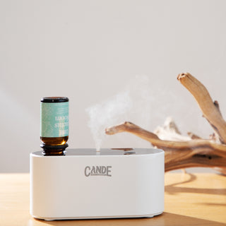 Waterless Fragrance Oil Diffuser Gift Set