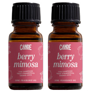 Scented Premium Fragrance Oil 2 Pack - Long-lasting Fragrance for Home