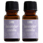 Scented Premium Fragrance Oil Multi Pack - Long-lasting Fragrance for Home