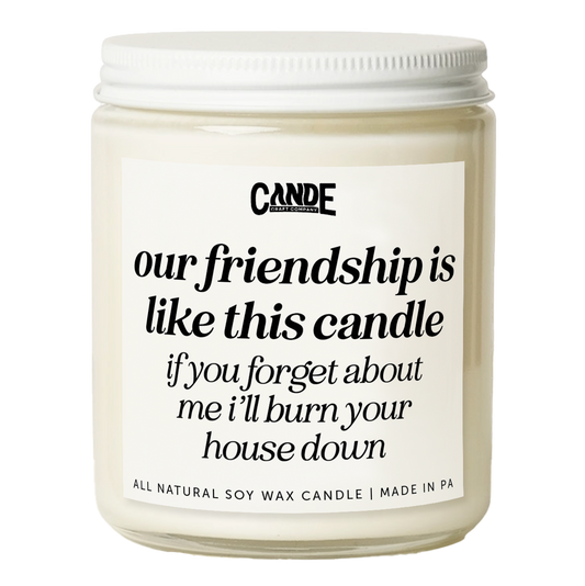 Our Friendship is Like A Candle If You Forget About Me I'll Burn Your House Down Candle